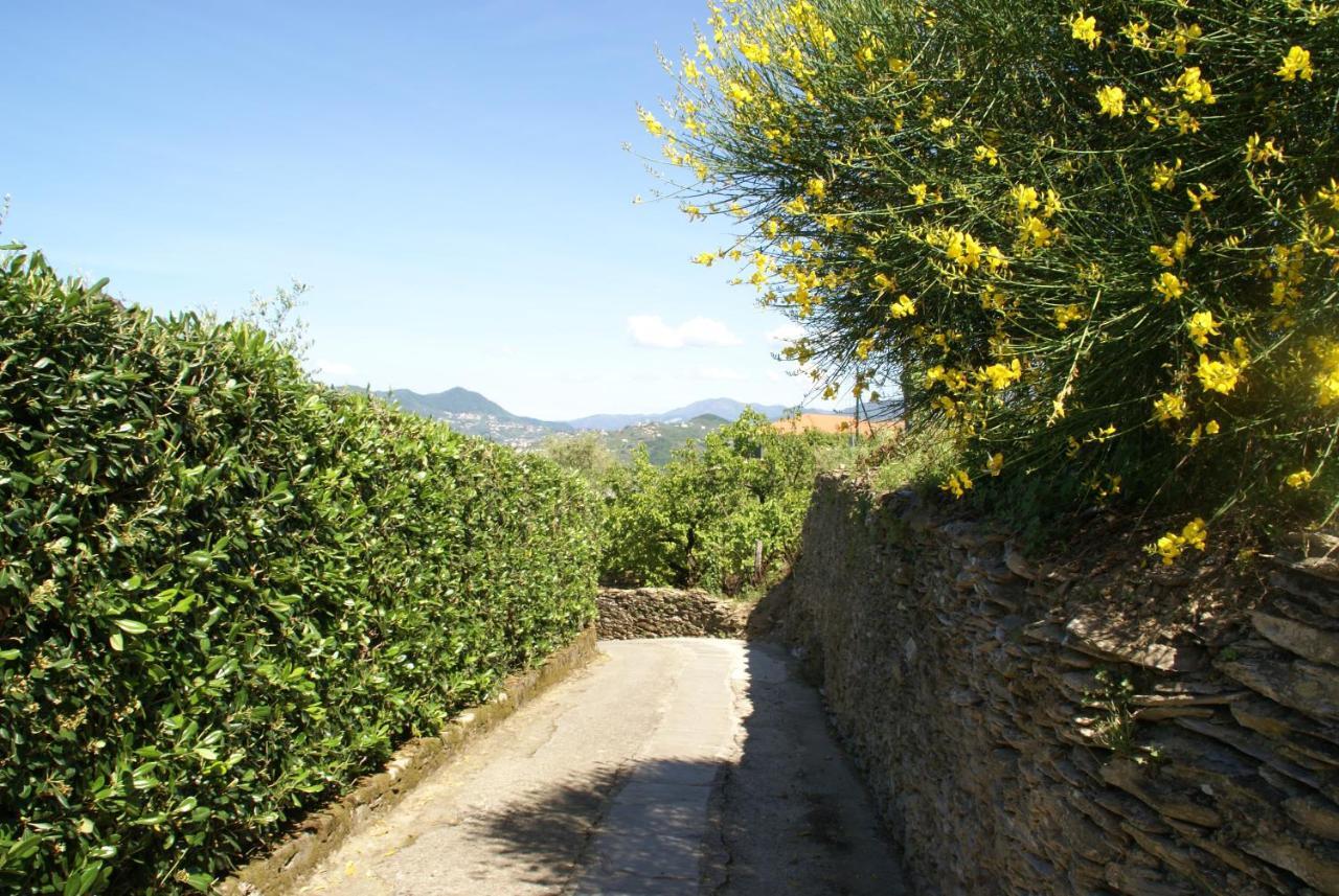 Sarina House Ocean View Villa Lavagna Luaran gambar